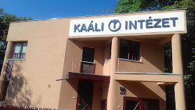 Kaáli Intézet