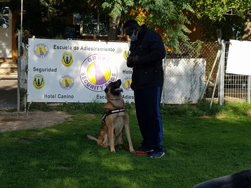 Guarderías caninas y cuidadores de mascotas en Navalcarnero de 2024