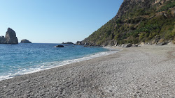 Foto von Guneykoy beach II wilde gegend