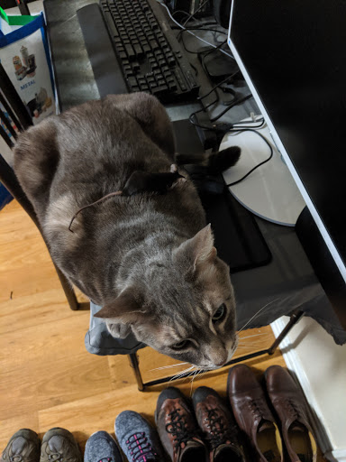 Non-Profit Organization «Heartland Humane Society», reviews and photos, 398 SW Twin Oaks Cir, Corvallis, OR 97333, USA