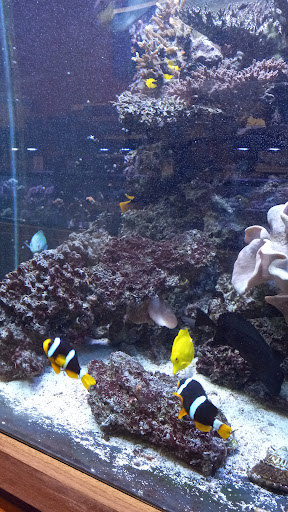 Tropical Fish Store «Fish World», reviews and photos, 11634 Busy St, Richmond, VA 23236, USA