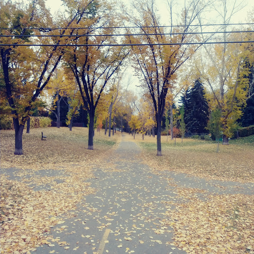 Dalhousie Area 1 Off Leash Dog Park