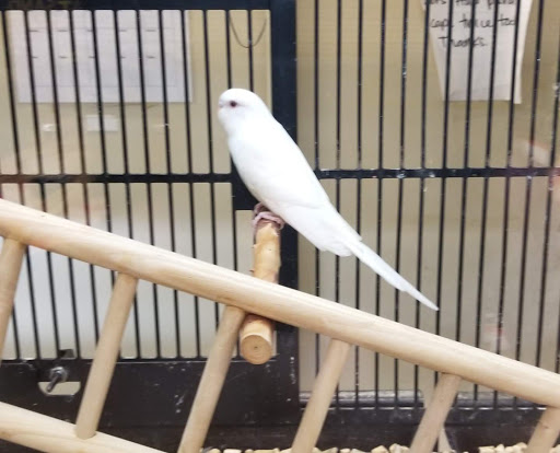 Pet Supply Store «PetSmart», reviews and photos, 4900 Monticello Ave, Williamsburg, VA 23188, USA