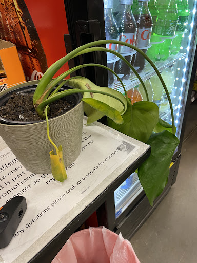 Home Improvement Store «The Home Depot», reviews and photos, 2480 Brice Rd, Reynoldsburg, OH 43068, USA