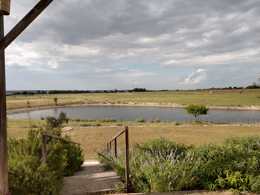 Event Venue «Kairos The Celebration Barn», reviews and photos, 1213 Kott Rd, Fredericksburg, TX 78624, USA