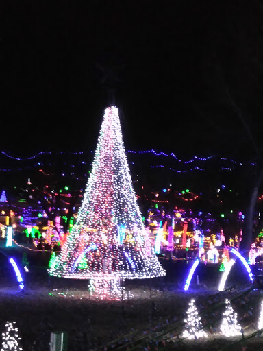 Explore tattoo ideas for forearm, creative tattoo ideas in Broken Arrow, available at Just Another Hole