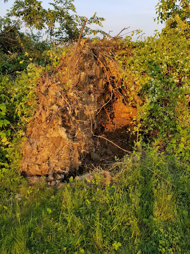 Park «Delcastle Recreational Park», reviews and photos, 2920 Duncan Rd, Wilmington, DE 19808, USA