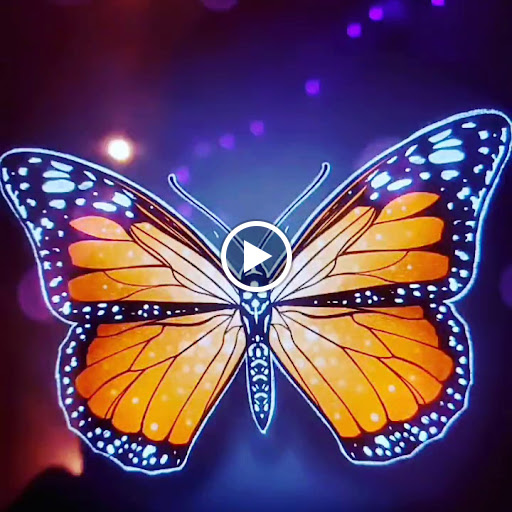 Tattoo Shop «Bombshell Tattoo & Piercing Studio», reviews and photos, 2607 W 10th St b, Greeley, CO 80634, USA