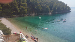 Smokvina beach'in fotoğrafı ve yerleşim