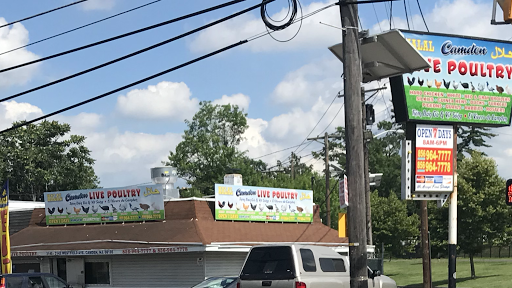 camden Live Poultry حلال El vivero - 3142 Westfield Ave, Camden, NJ 08105, Estados Unidos