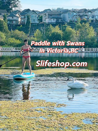 Slifeshop Paddle Board, SUP Rentals & E-bike