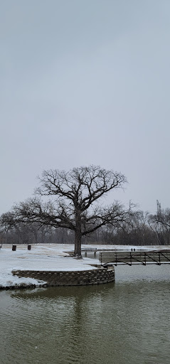Park «Mike Lewis Park», reviews and photos, 2410 N Carrier Pkwy, Grand Prairie, TX 75050, USA