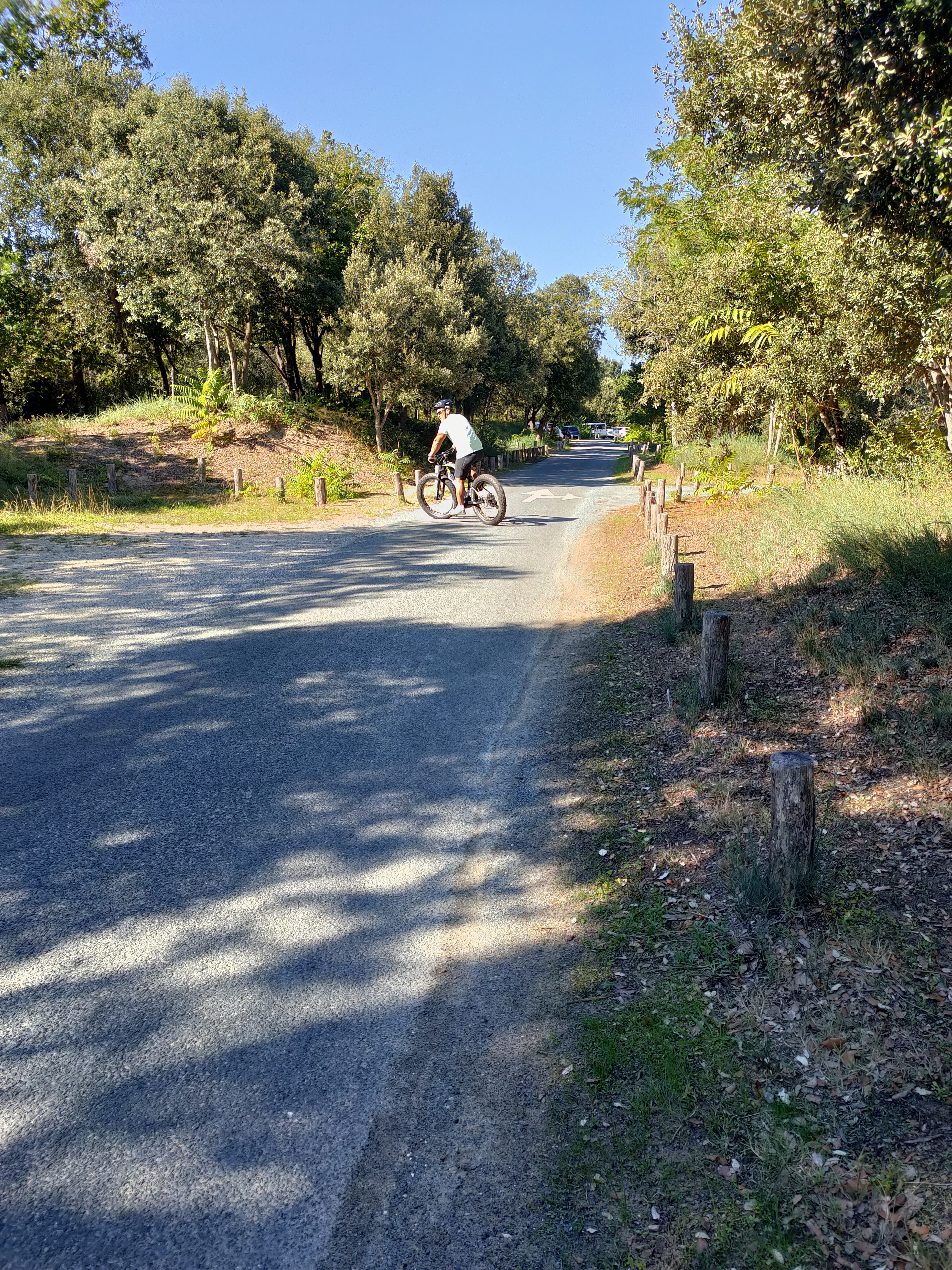 Photo n° 3 de l'avis de Louis.r fait le 23/11/2021 à 07:24