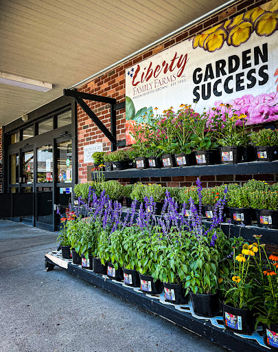 Discount Store «Ocean State Job Lot», reviews and photos, 16 Klarides Village Dr, Seymour, CT 06483, USA