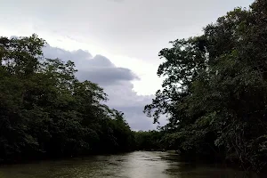 Salandi River image
