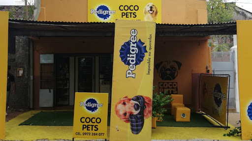 Clínica Veterinaria Coco Pets