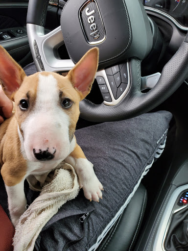 Pet Supply Store «PetSmart», reviews and photos, 1232 Hooper Ave, Toms River, NJ 08753, USA