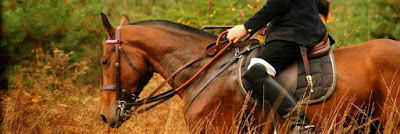 Sellerie REGNIER à Neufchâtel-en-Saosnois