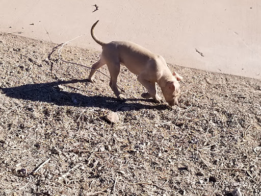 Visitor Center «Lake Mead Visitor Center», reviews and photos