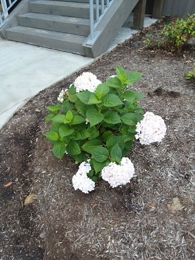 Nature Preserve «Beechwood Farms Nature Reserve», reviews and photos, 614 Dorseyville Rd, Pittsburgh, PA 15238, USA