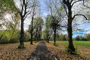 Birchfields Park image