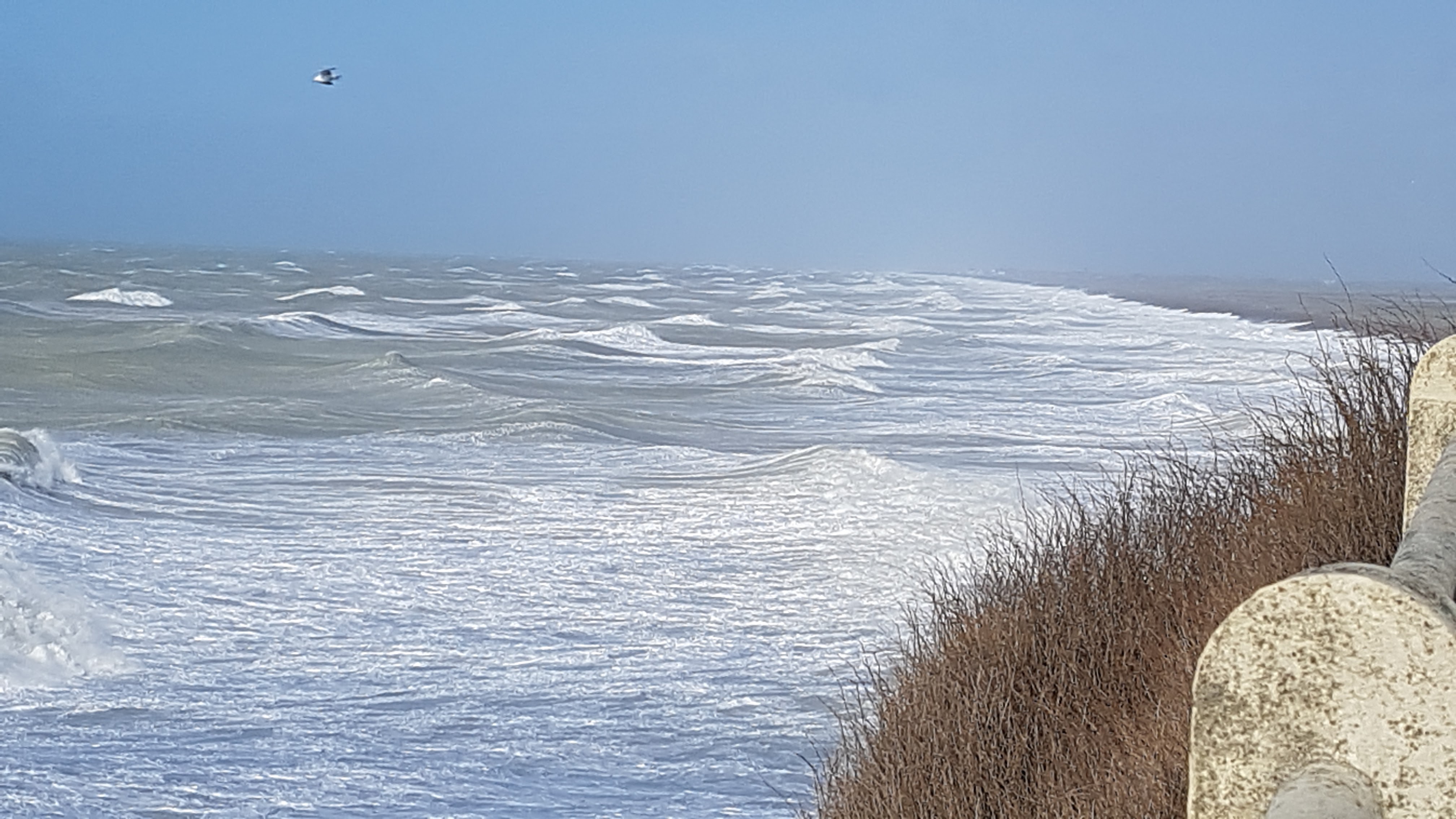 Photo n° 11 de l'avis de Nadine.a fait le 10/03/2019 à 15:06