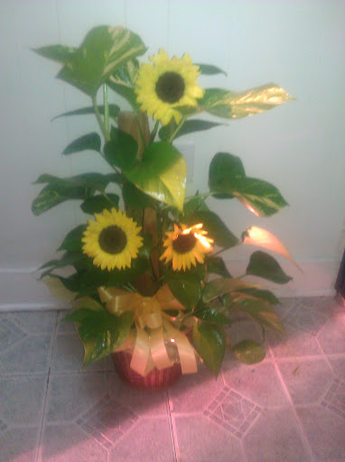 Florist «Flowers by Monica», reviews and photos, 9210 Homestead Rd a, Houston, TX 77016, USA