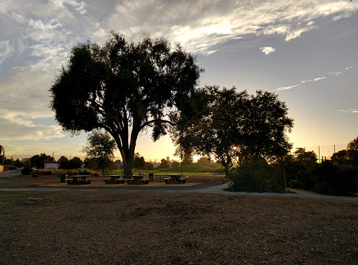 Taylor Street Rock Garden