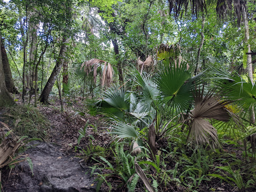 State Park «Kelly Park», reviews and photos, 400 E Kelly Park Rd, Apopka, FL 32712, USA