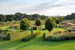 Sussex Prairie Garden image