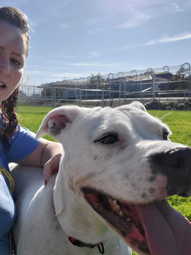 Placer County Animal Services Center image