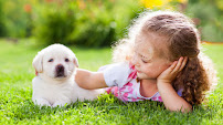 Petland Largo - Photo 2 - Car repair in Largo, FL, St. Petersburg