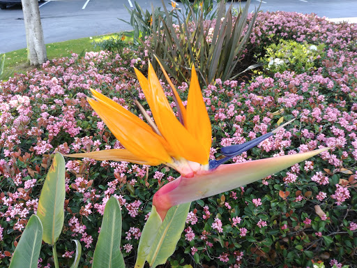 Hilton Garden Inn LAXEl Segundo image