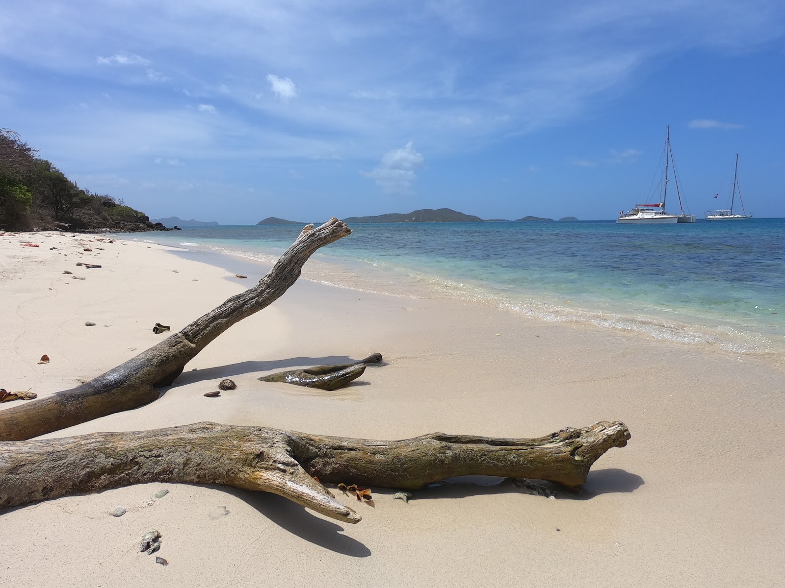 Foto von Petit Rameau beach befindet sich in natürlicher umgebung