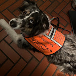 Photo n°2 de l'avis de Vivien.o fait le 31/03/2023 à 21:45 sur le  Restaurant Kleines Meer à Waren