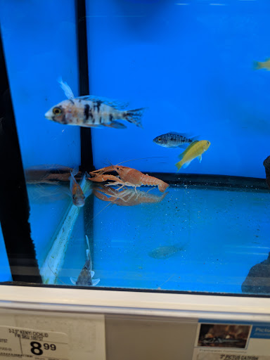 Pet Supply Store «Petco Animal Supplies», reviews and photos, 2752 Veterans Rd W, Staten Island, NY 10309, USA