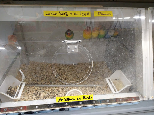 Pet Store «Jules Pet Shop», reviews and photos, 2214 N Milwaukee Ave, Chicago, IL 60647, USA