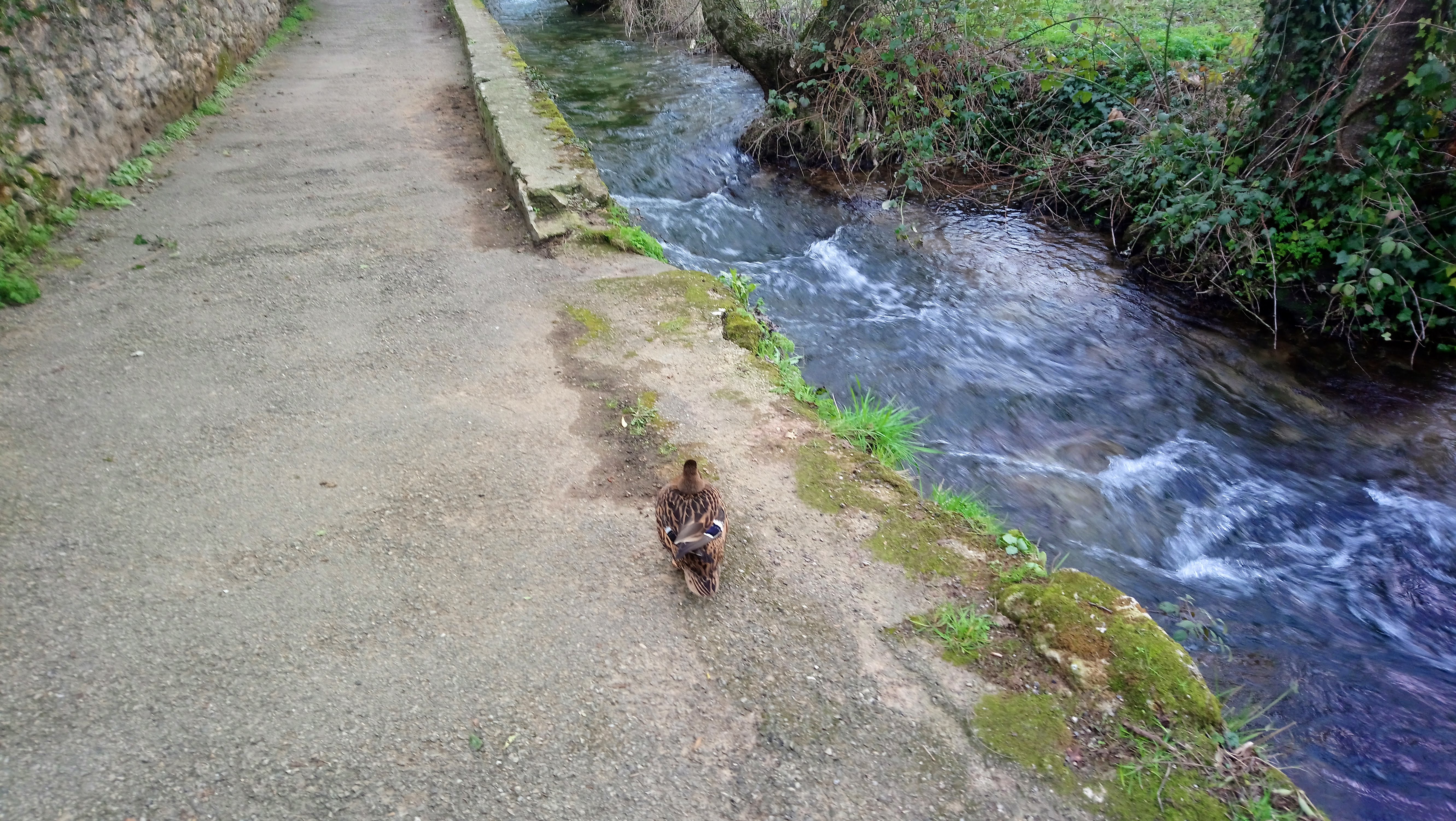 Photo n° 1 de l'avis de Philippe.E fait le 25/02/2018 à 16:42