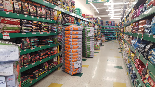 Pet Supply Store «Pet Supplies Plus», reviews and photos, 4405 Milestrip Rd, Blasdell, NY 14219, USA