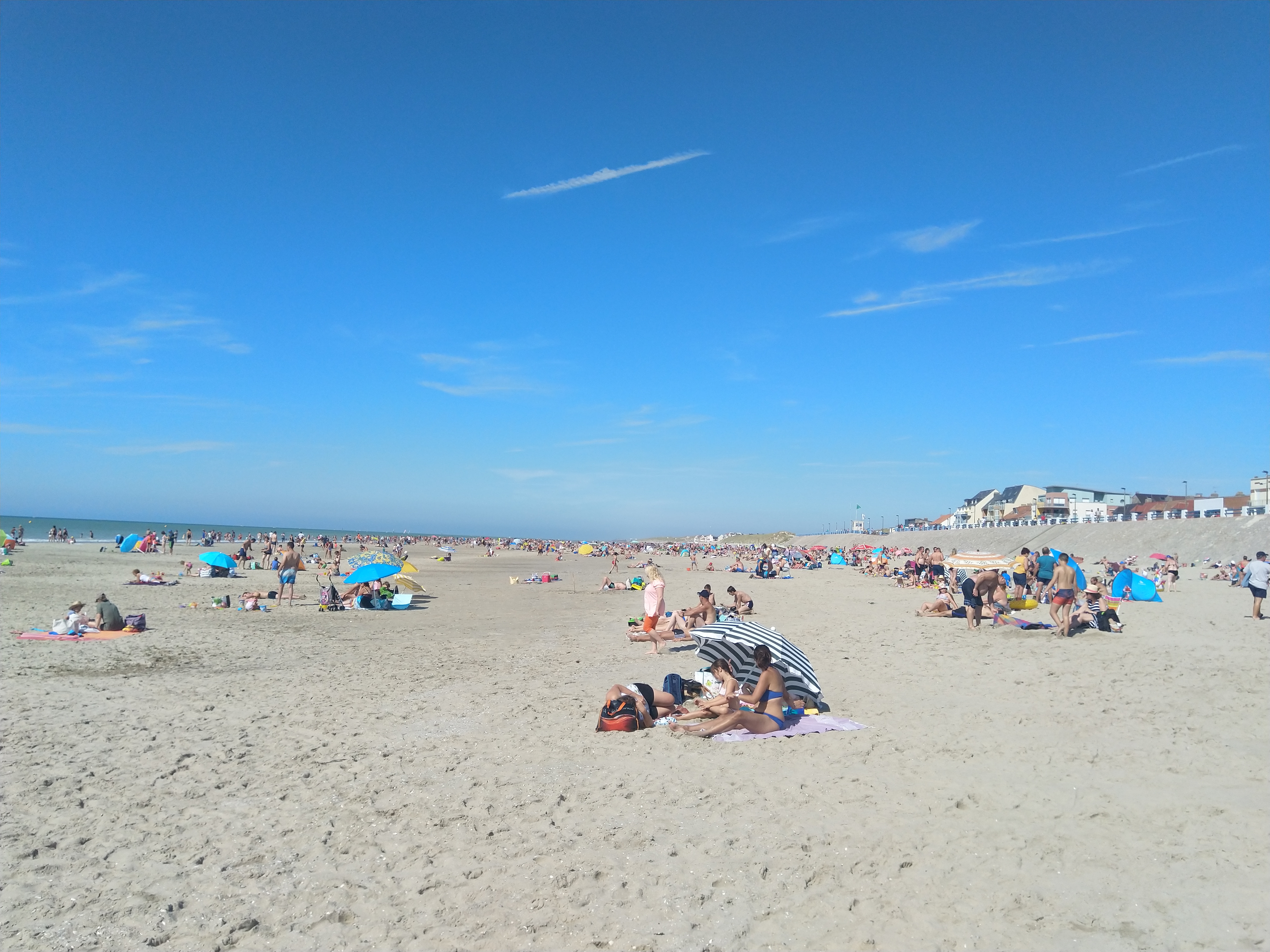 Photo n° 8 de l'avis de Philippe.e fait le 26/08/2019 à 05:22