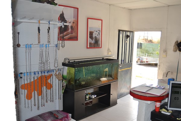 Centro Canino Toracan