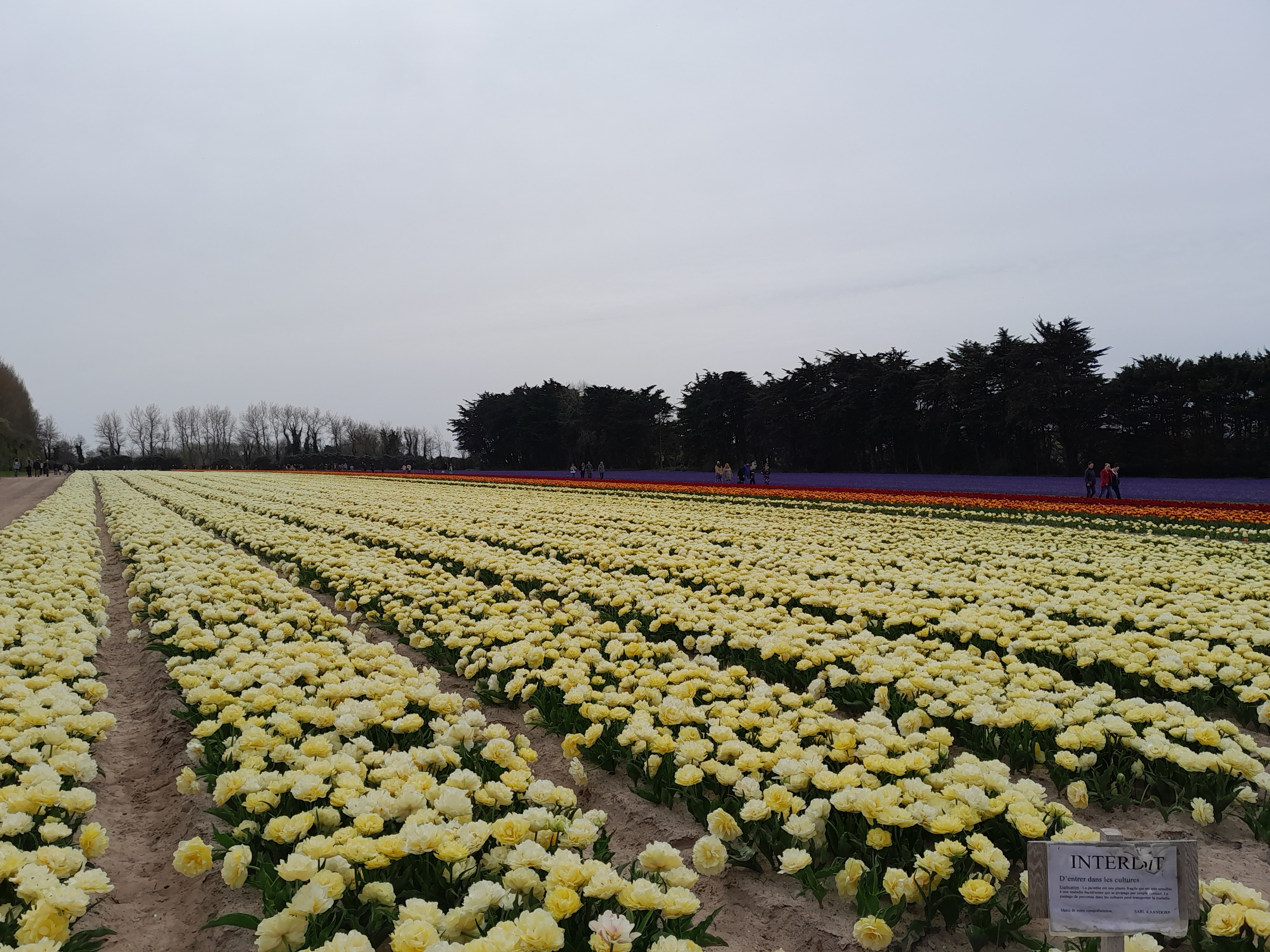 Photo n° 6 de l'avis de Amélie.e fait le 20/04/2023 à 05:00