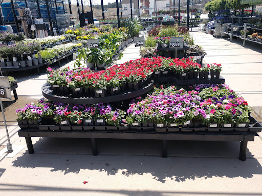 Department Store «Walmart Supercenter», reviews and photos, 1882 Holly St, Blair, NE 68008, USA