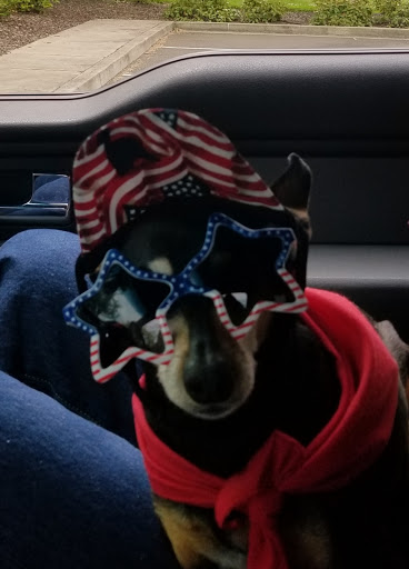 Pet Supply Store «Mini Pet Mart», reviews and photos, 1609 Virginia Ave, North Bend, OR 97459, USA