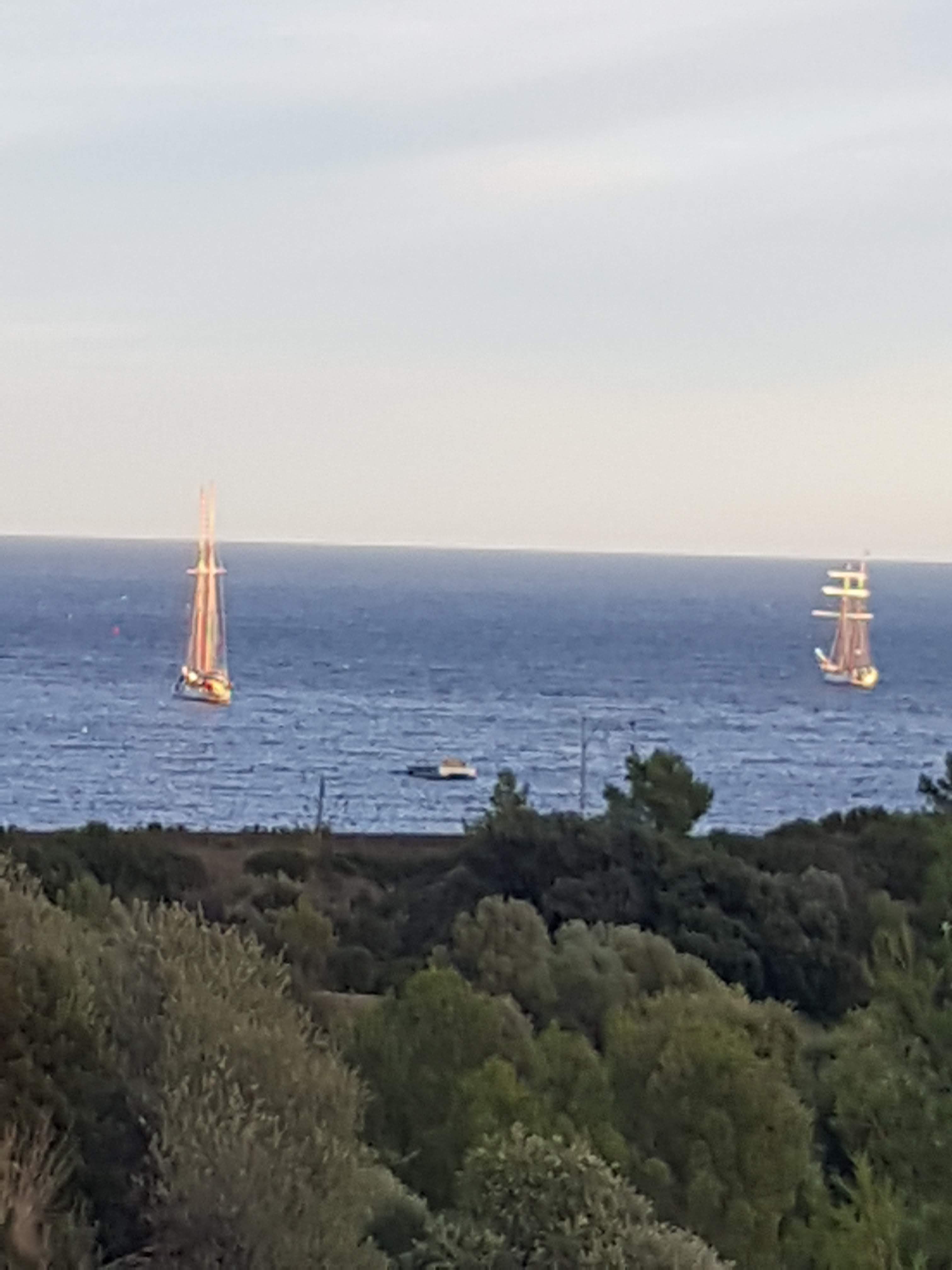 Photo n° 1 de l'avis de dominique.a fait le 15/08/2023 à 13:28