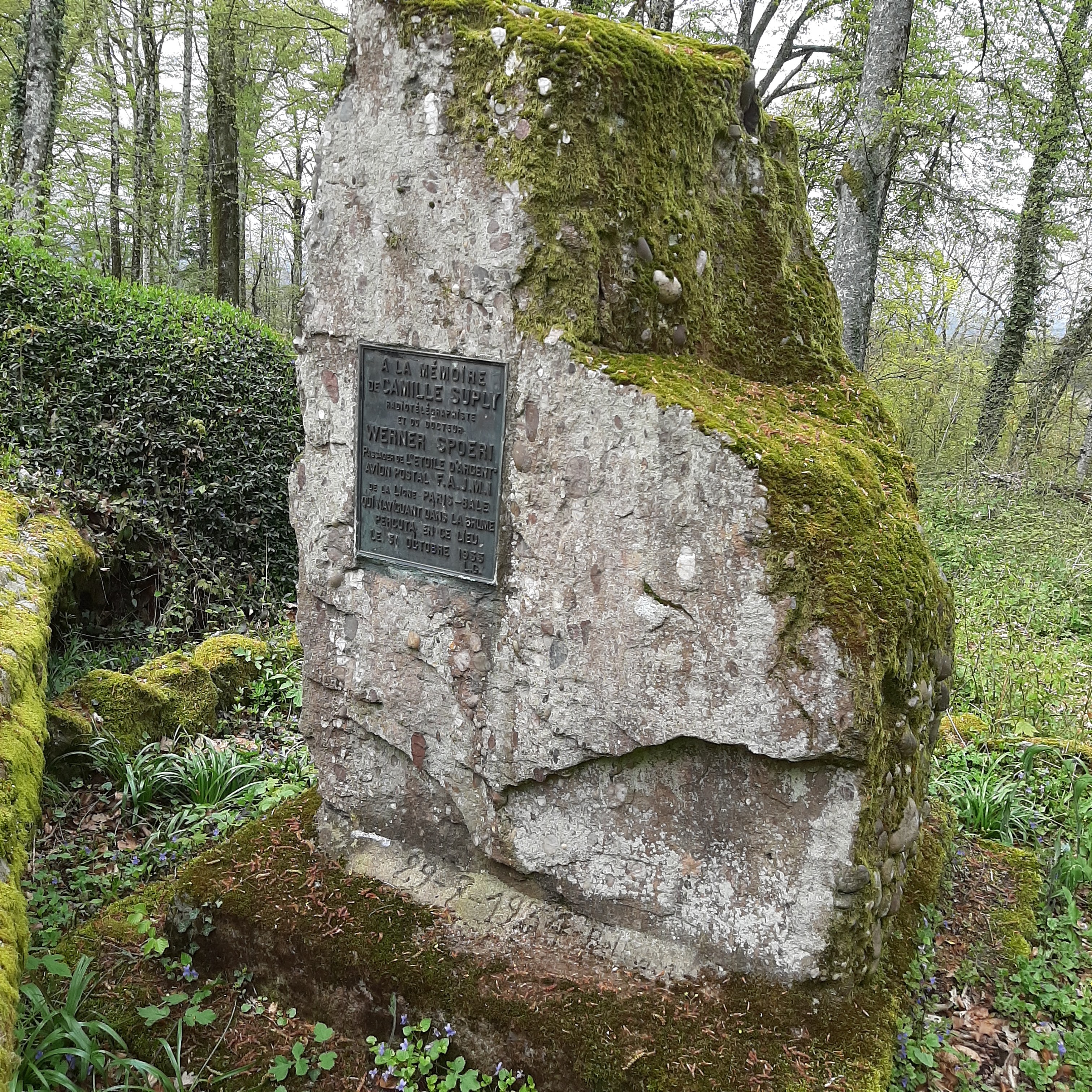 Photo n° 3 de l'avis de Hermeticum.u fait le 23/04/2023 à 13:48
