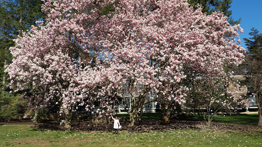 Museum «Princeton University Art Museum», reviews and photos, Elm Dr, Princeton, NJ 08544, USA