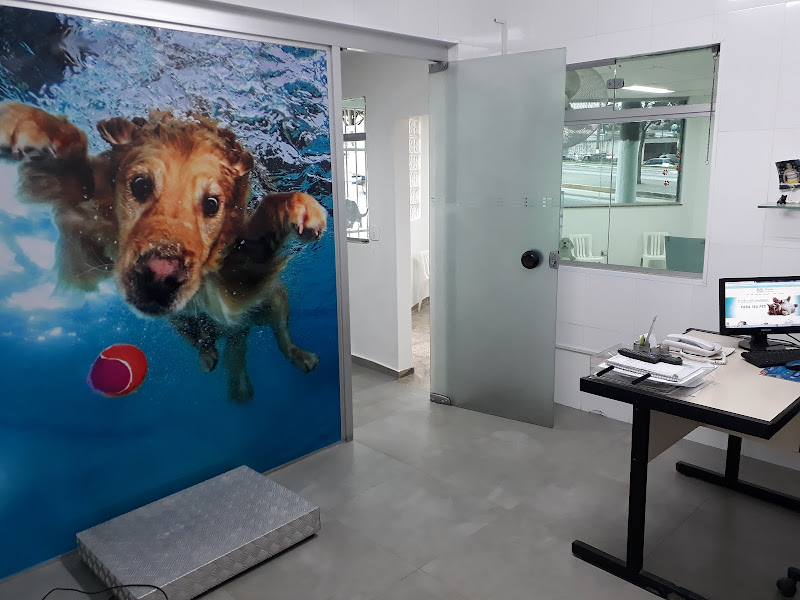 Veterinary Clinic Teotônio Vilela — O profissional veterinário em São Paulo, SP