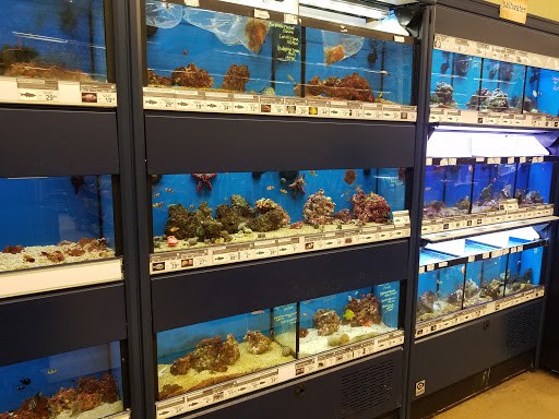 Pet Supply Store «Petco Animal Supplies», reviews and photos, 2131 Pleasant Hill Rd, Duluth, GA 30096, USA