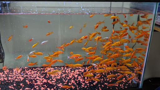 Pet Supply Store «Choice Pet - Fairfield», reviews and photos, 1947 Black Rock Turnpike, Fairfield, CT 06825, USA